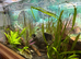 200l fish tank full set up