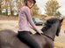 Raine 5yr old mare