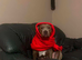 American bully 5 yrs old female
