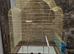 New cage