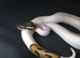 High Pied Ball Python 85%