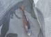 Shusui koi 4-6 inches
