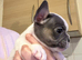 Super tiny girl