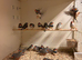 Zebra Finches