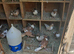 Pigeon magpies