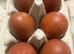 Copper marran x cream legbar hatching eggs