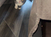 Female cat