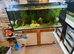 240l tank and stand
