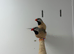 Finches
