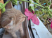 We are looking for our forever home