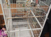 Large pawhut bird avairy cage