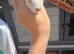 Male baby guinea pig