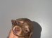 6 miniature dachshund puppys
