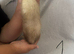 Stunning part angora kits for sale