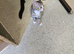 BEAUTIFUL KITTENS