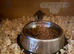Micro squirrels