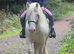 First pony, bombproof, allrounder