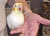 Hand reared baby Cockatiels