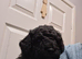 Six gorgeous toy poodles for sale.