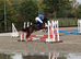 Proven Broodmare/ ROR Showing/ Project