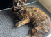 Gorgeous girl looking for new home