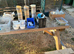 Fife and border show cages for sale