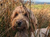 Born 30th March - all have forever homes secured.