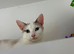 REHOME