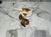 Royal Python Orange Dream Pied (Pass Het Sunset)