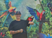 Harlequin Macaws
