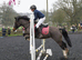 Heaton Miss Marie - 13.2hh 8yo mare