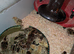 60 Quails Chicks (Jambo 1 Day old) available