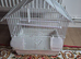 Bird cages