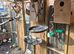 Wanted - birds to be rehomed