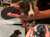KC whippets for sale