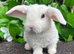 Mini Plush Lops