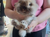 12 wks old little girl