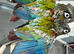 Hand reared tamed Parrot Conures