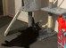 Sweet Domestic Shorthair Cat Looking for New Home (Free to a good home)