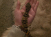 1 year and 1 month old lepord gecko, really well handled