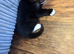 Kittens for sale