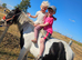 Woody 4 year old cob