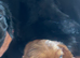 5 beautiful show cocker spaniels crossed patterdale