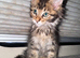 Beautiful Boy REDUCED