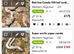 Western Hognose for sale