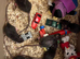 Female 6-7 weeks old rats