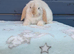 Superfriendly mini lop rabbit ready now