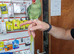 Alexandrine Parrot