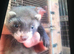 Ferret