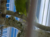 Green Ringneck